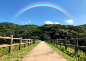 明日死ぬかもしれないなら、何を選択しますか?