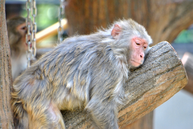 成長できる環境が大切