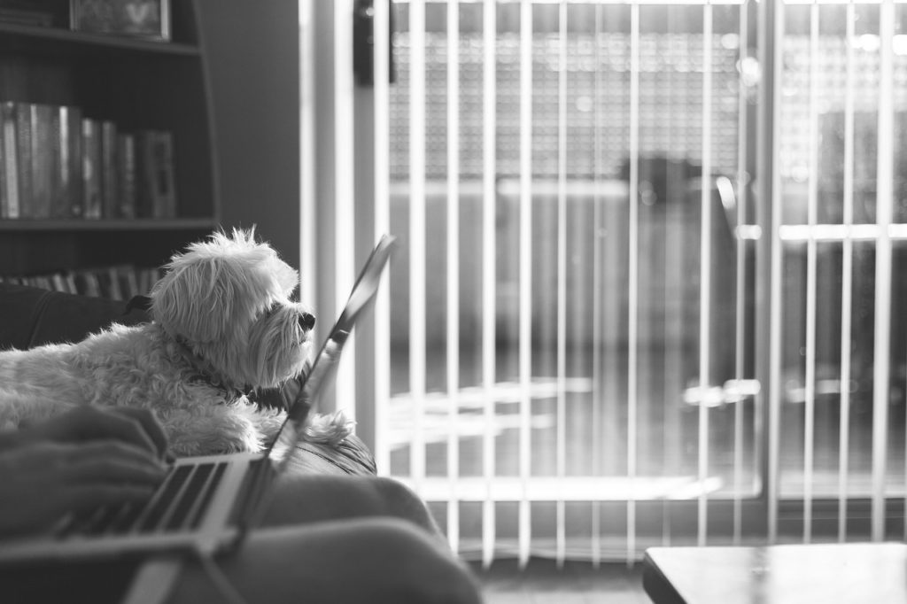 一年目で会社を辞めたい